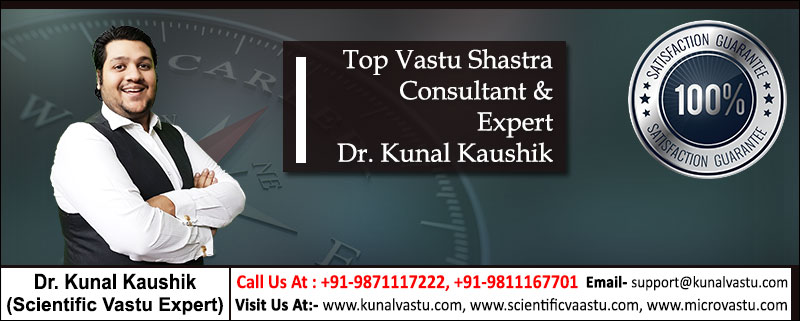 Best Vastu Expert In Vishwamitri